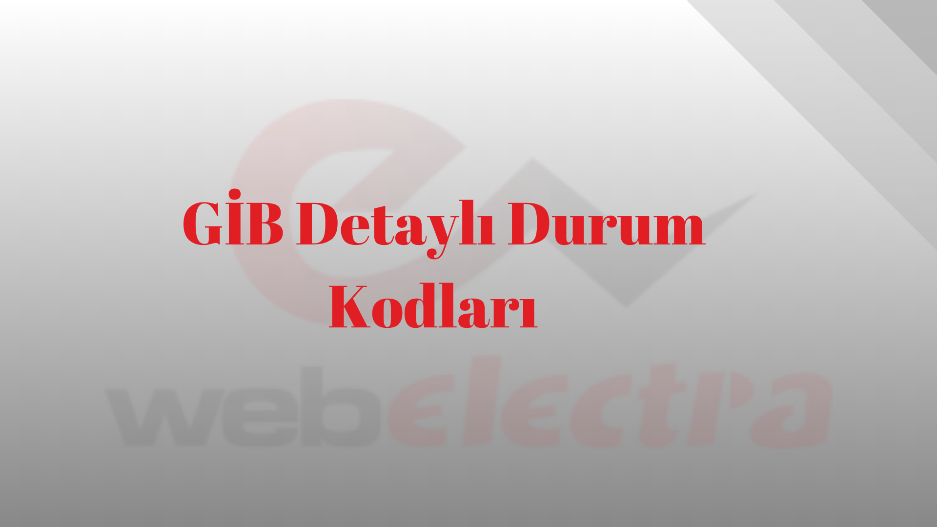 GİB Detaylı Durum Kodları